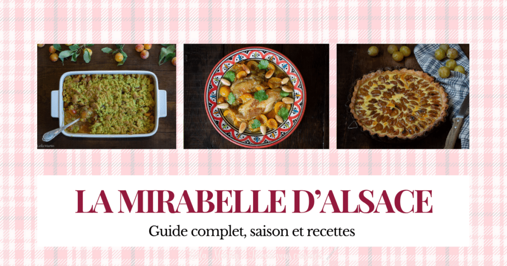Dossier complet avec recettes autour de la mirabelle d’Alsace